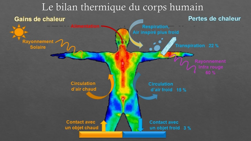 Le bilan thermique du corps humain