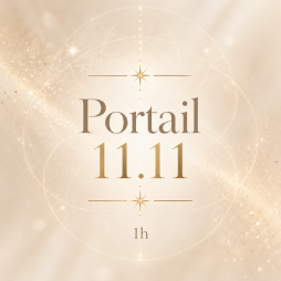 Portail du 11•11